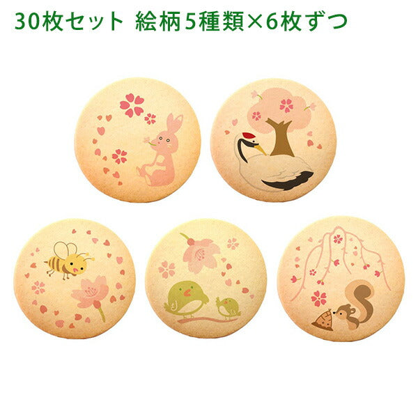 メッセージクッキー 季節限定 桜 LEUK KOEK