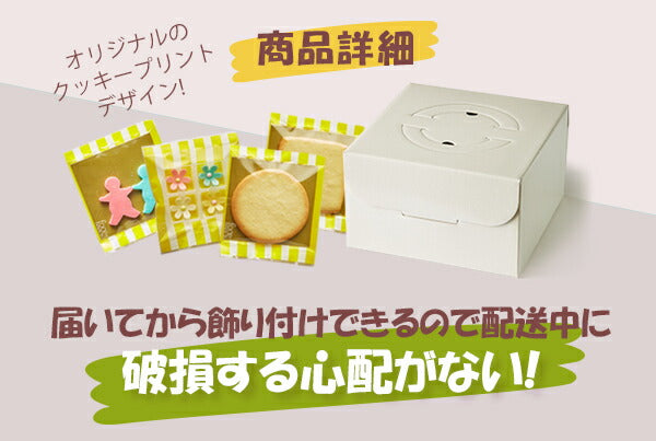 FOCETTA ジェンダー リビール ケーキ プレーン 6号 6~8名 5号 4~6名