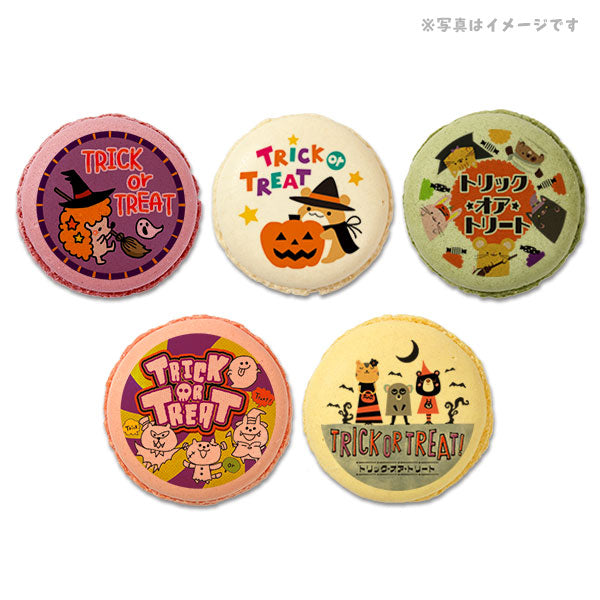 メッセージマカロン ハロウィン PETIT BIJOU