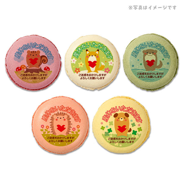 メッセージマカロン 産休 PETIT BIJOU