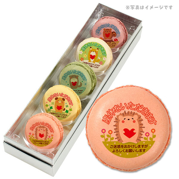 メッセージマカロン 産休 PETIT BIJOU