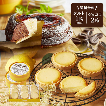 【 ホワイトデー お返し ギフト 】 タルトフロマージュ 9個セット(箱入り) / 天空のチーズケーキ ショコラ セット