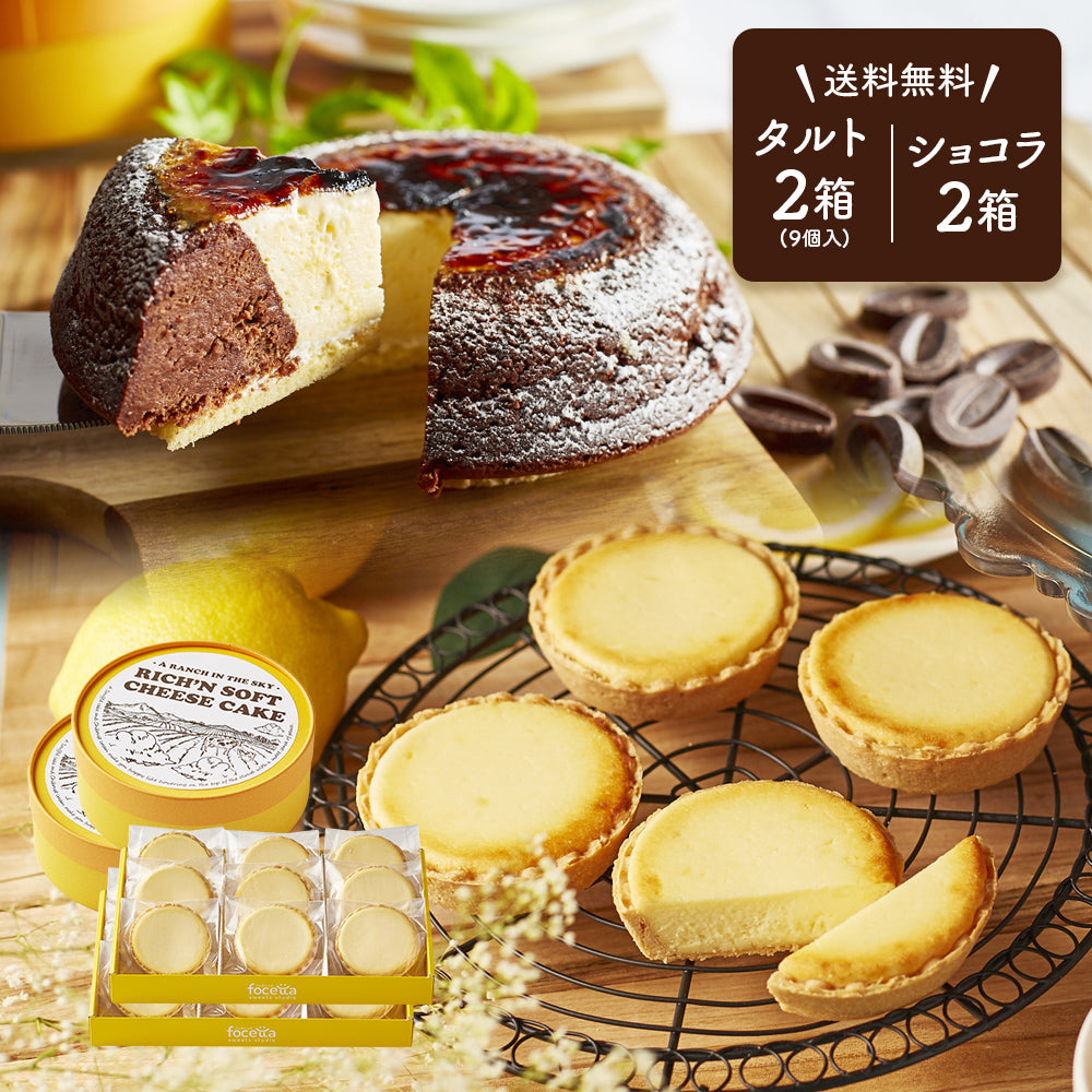 【 ホワイトデー お返し ギフト 】 タルトフロマージュ 18個セット ( 9個入×2箱 ) / 天空のチーズケーキ ショコラ セット